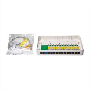 Sternverteiler CECOFLEX G02 AP (12-fach)