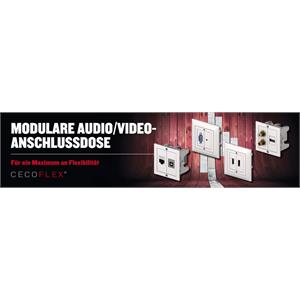 Audio/Video-Anschlussdose