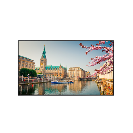 Professional Display PN65D, 65", UHD, 500cd/m2, SlimDLED, Haze 25%